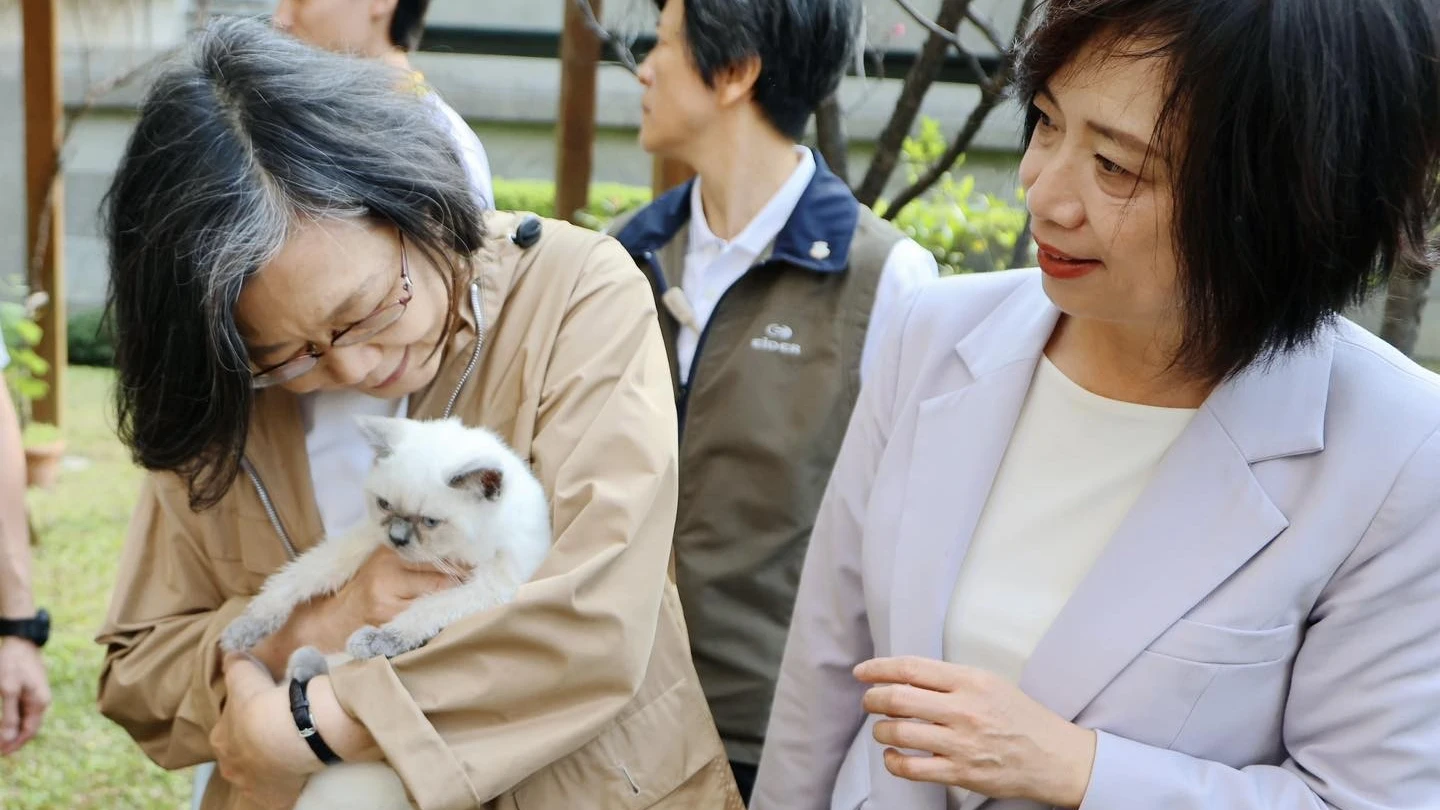 小英總統看過來！貓派vs狗派大對決　全台174萬隻家貓首度超越家犬