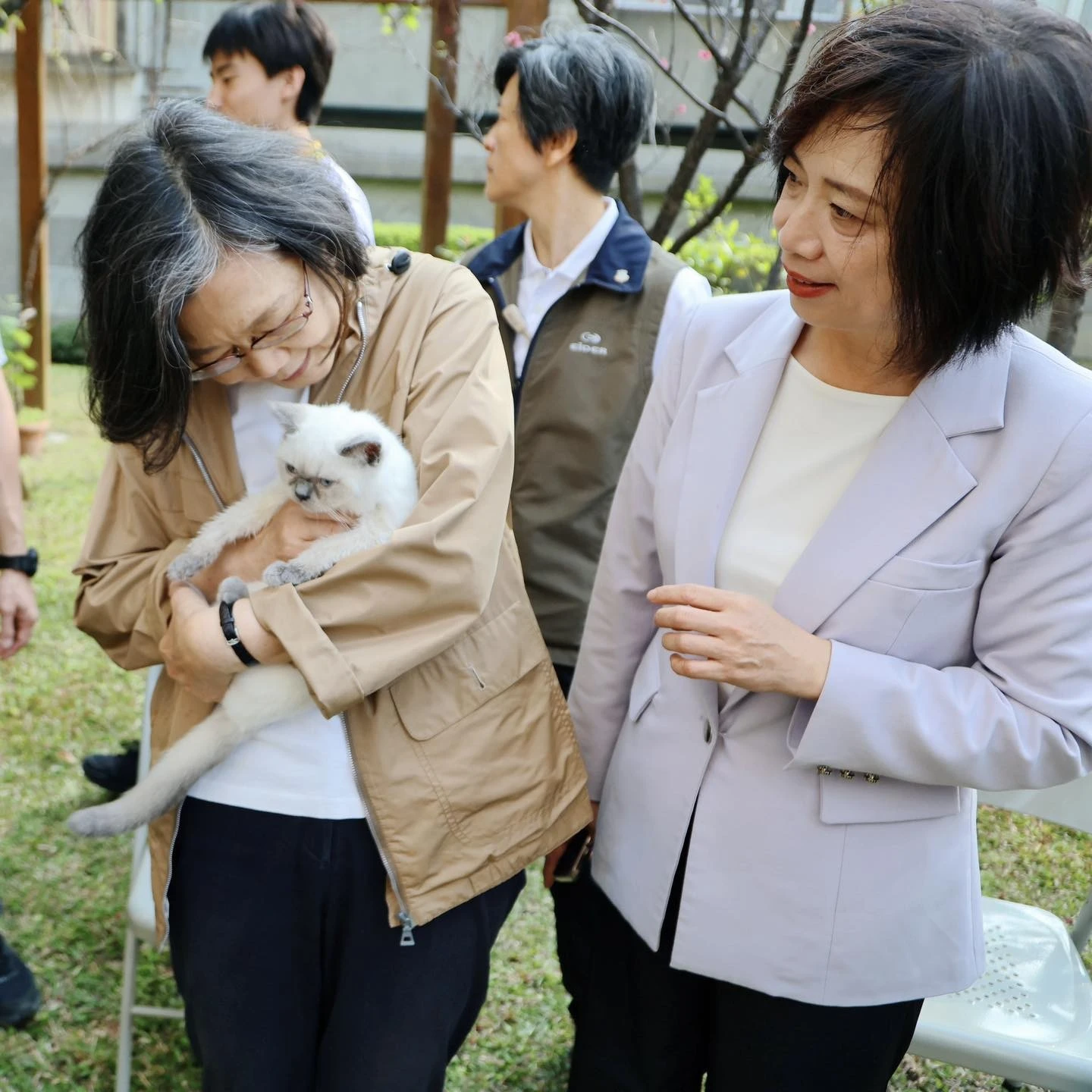 小英總統看過來！貓派vs狗派大對決　全台174萬隻家貓首度超越家犬