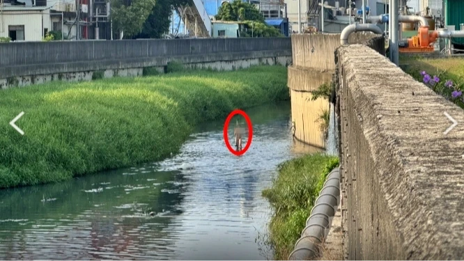 離奇！騎士國道撞車竟墜河人間蒸發　2小時後驚見全裸悠哉渡河