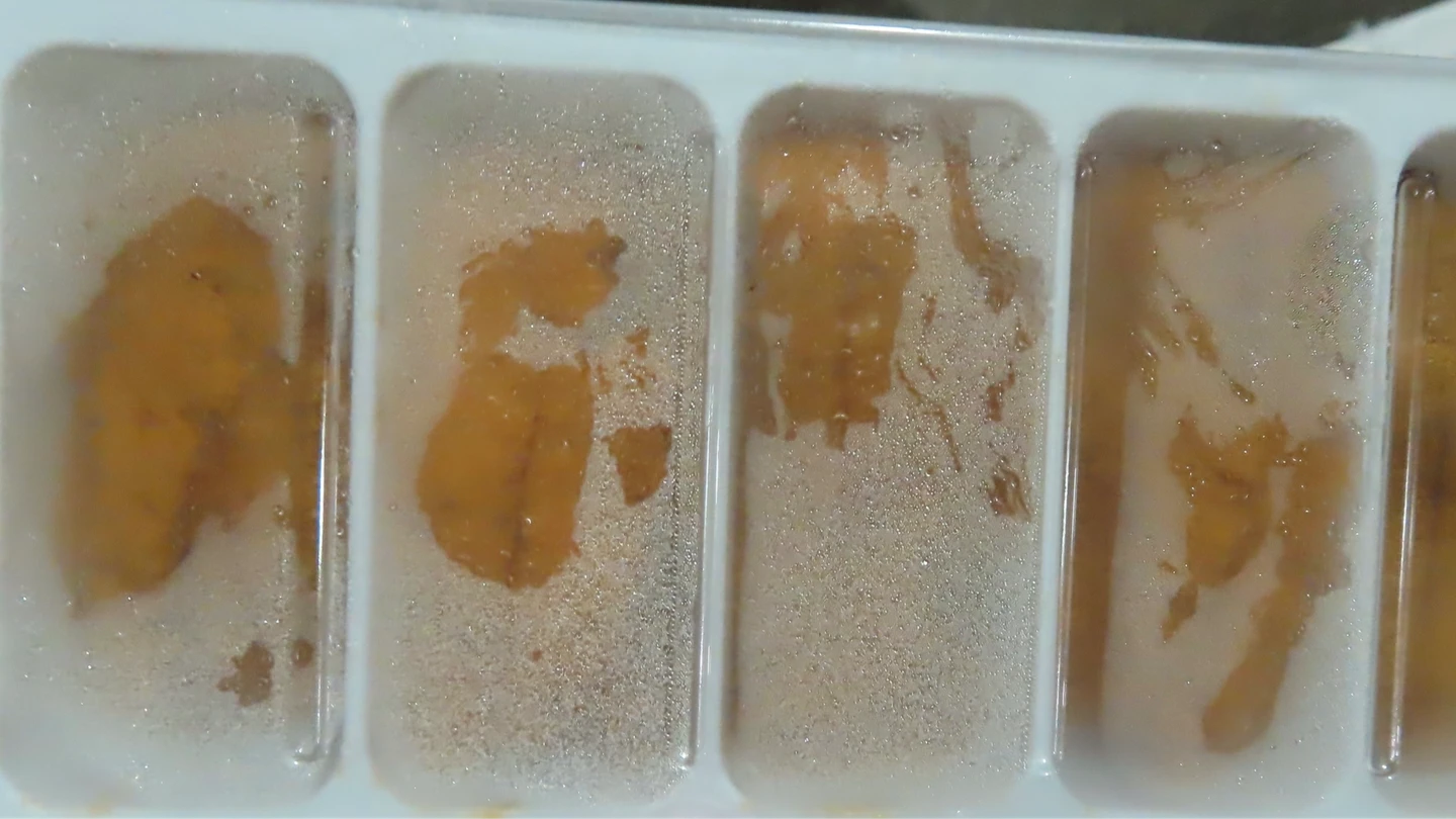 爭鮮進口加拿大海膽卵出包　重金屬鎘超標遭邊境攔截