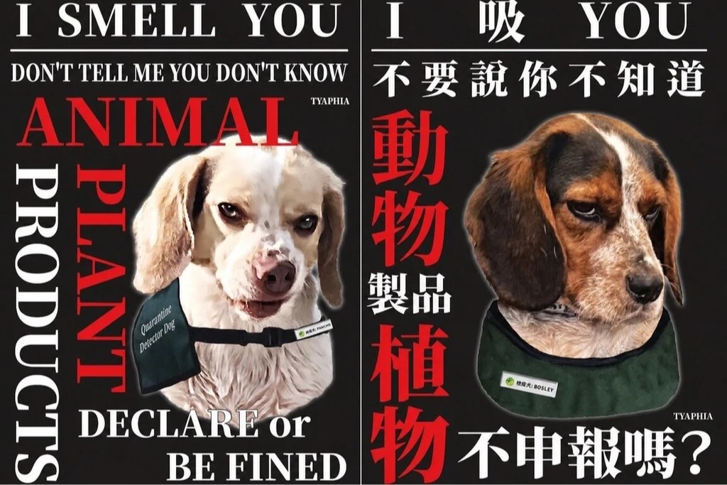 桃機檢疫犬兇狠EVA風格海報日網爆紅　台味諧音哏「I 吸 YOU」引熱議