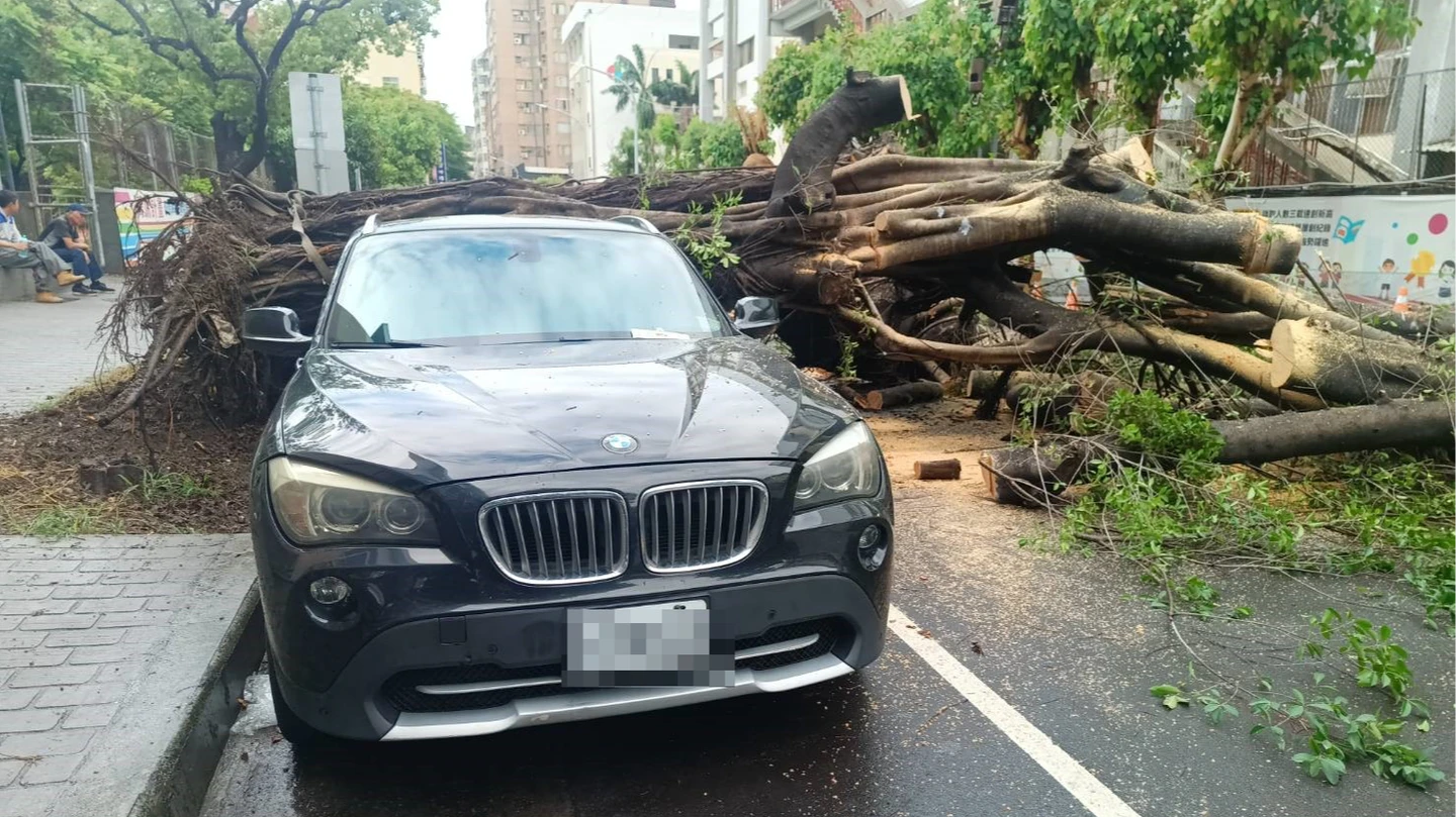 連日大雨釀禍！台中二中路樹倒塌砸2車　現場慘況曝光