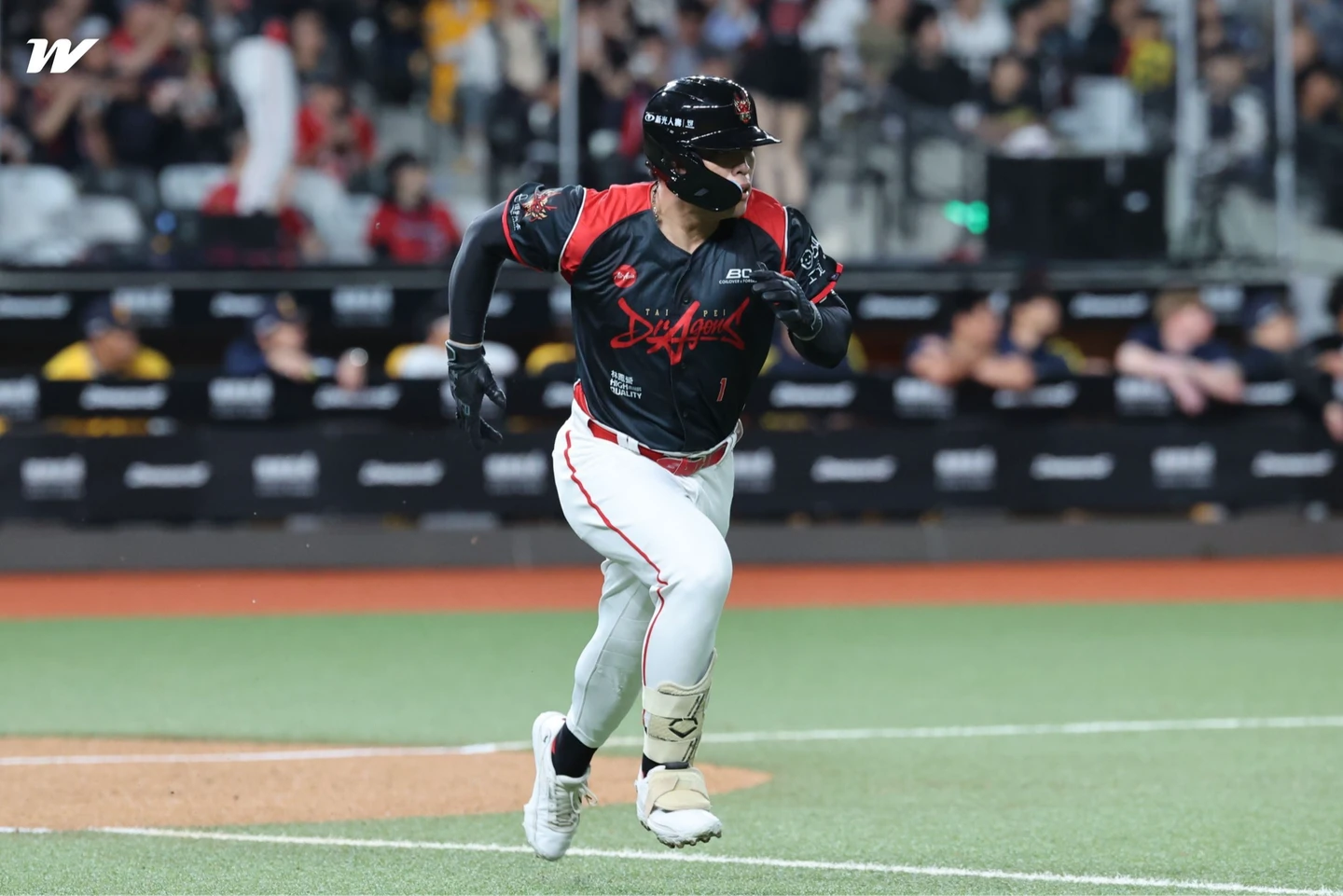 中職｜陳子豪陷大低潮被球迷「問候」　林智勝霸氣捍衛：誰不想打好？