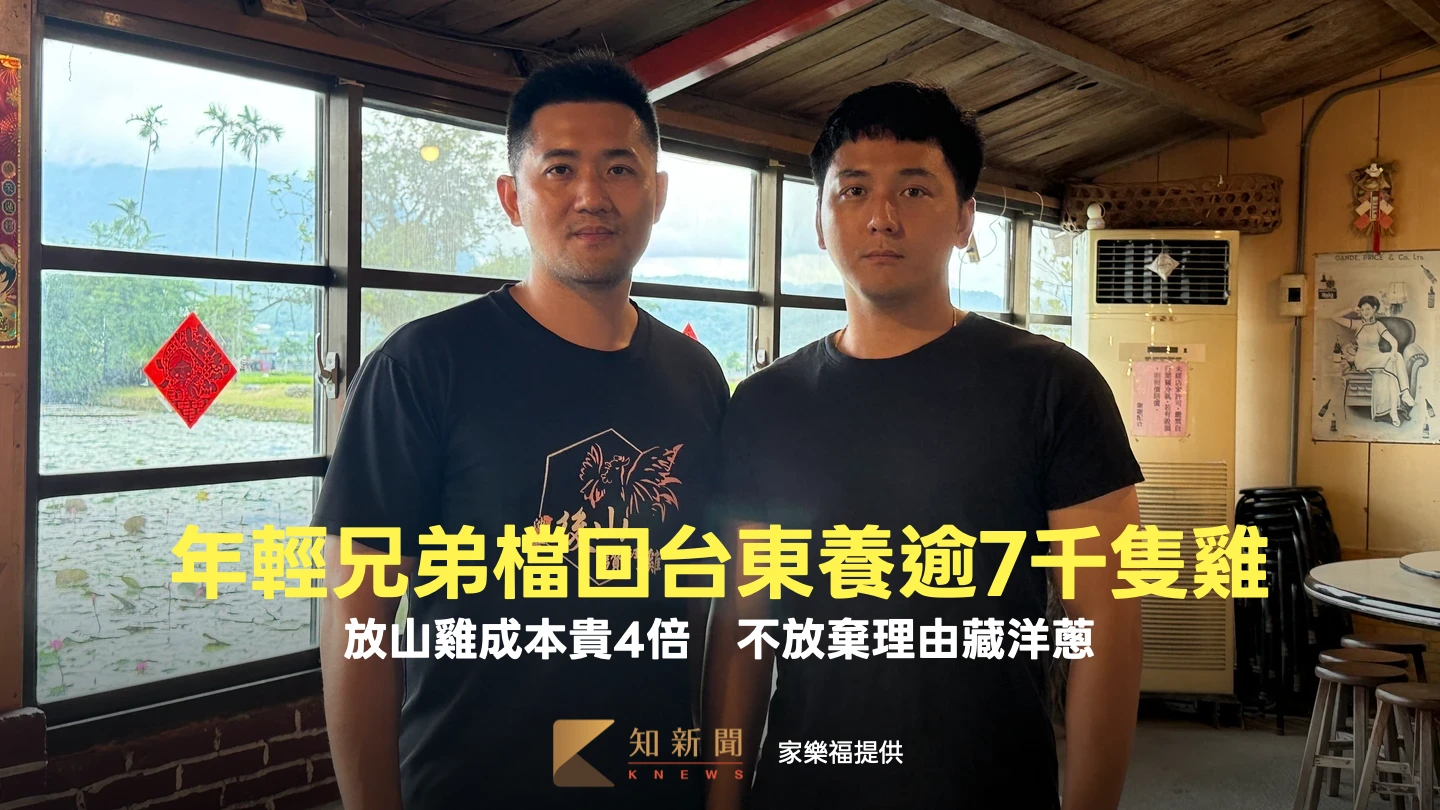 放山雞成本貴4倍！年輕兄弟檔回台東養逾7千隻雞　不放棄理由藏洋蔥