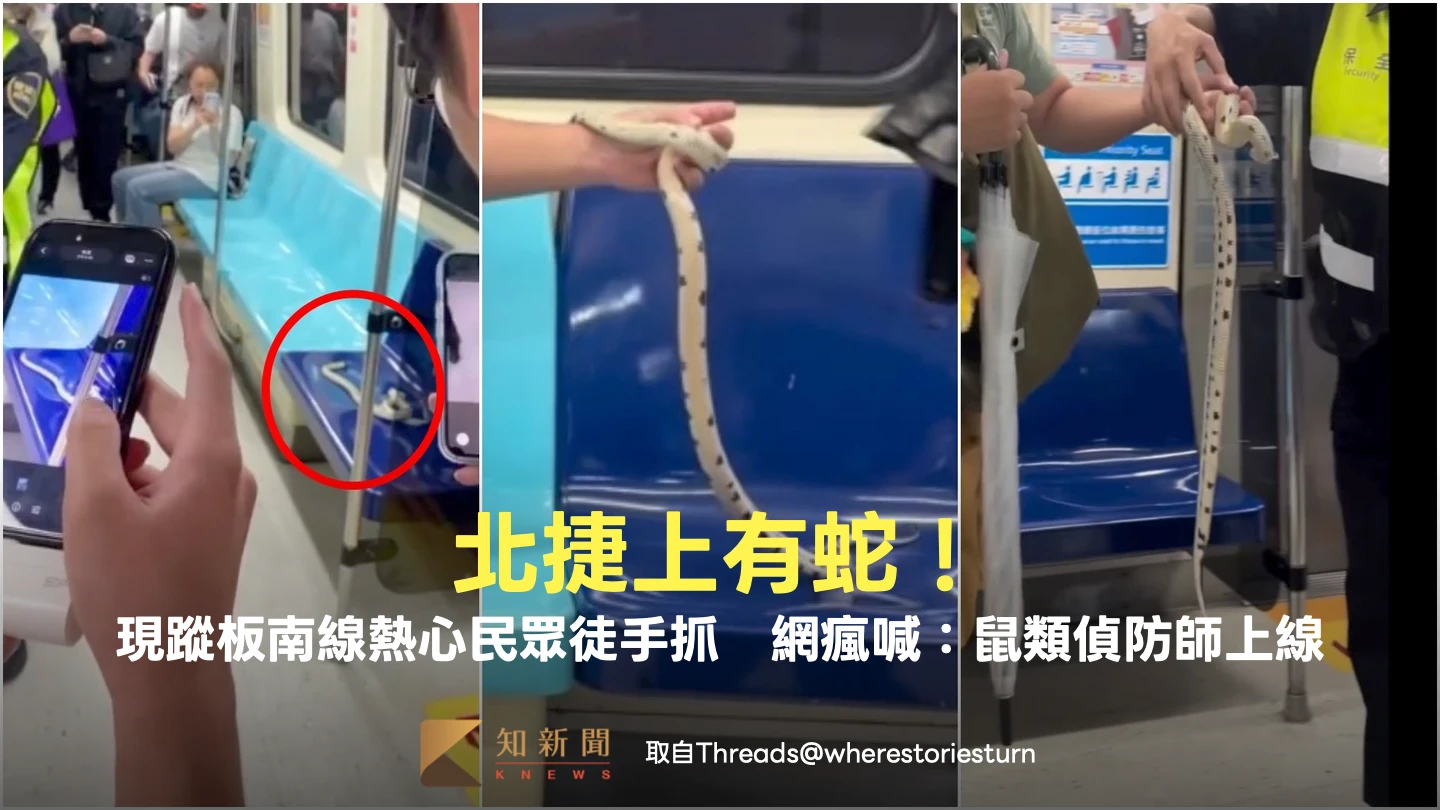 北捷上有蛇！現蹤板南線熱心民眾徒手抓　網瘋喊：鼠類偵防師上線