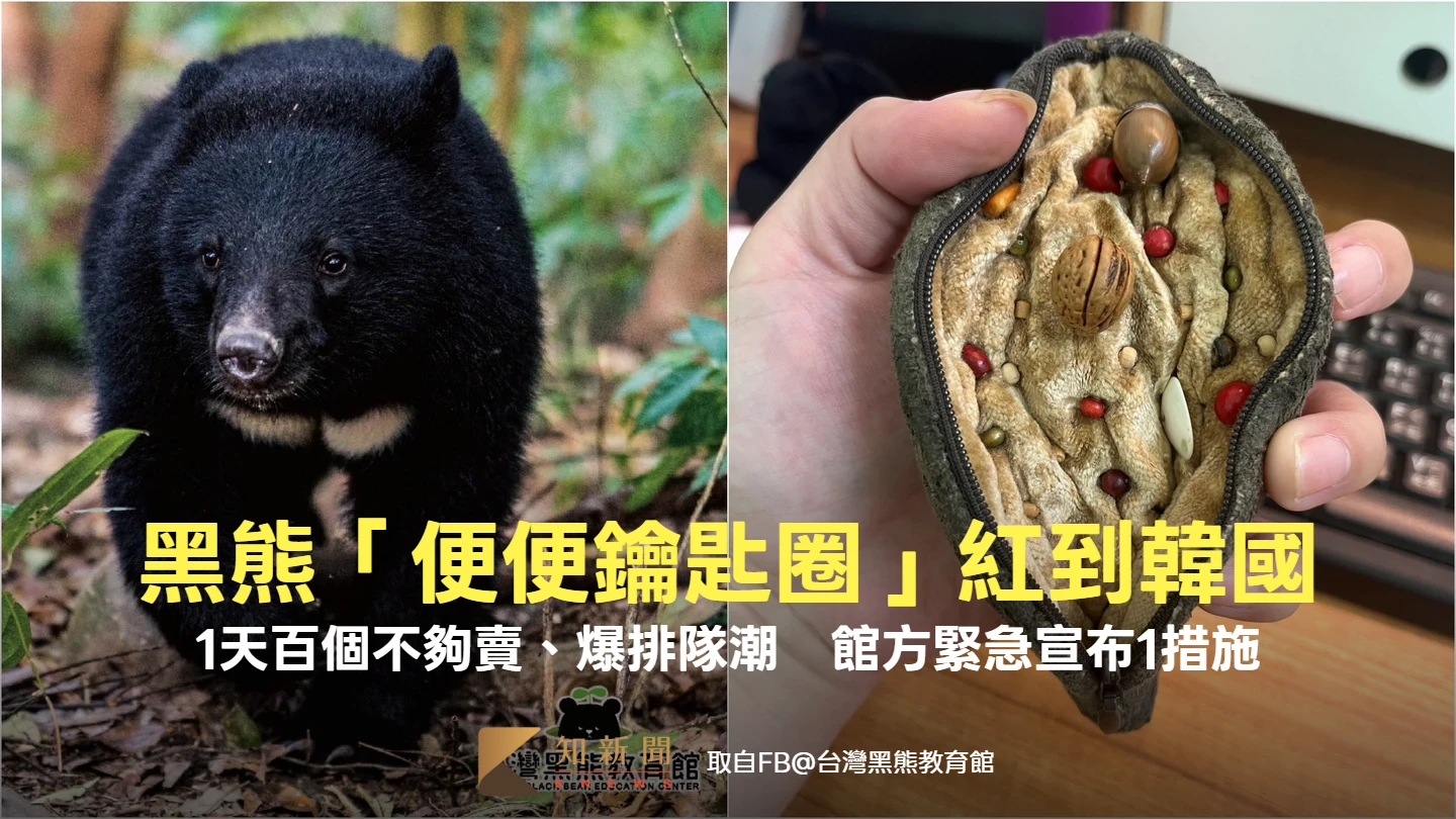 黑熊「便便鑰匙圈」紅到韓國！1天百個不夠賣、爆排隊潮　館方緊急宣布1措施