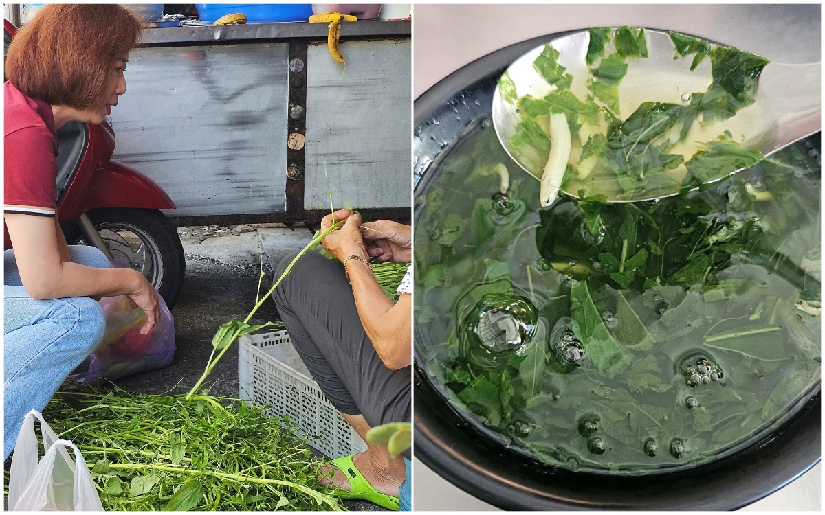 《臺灣漫遊錄》奪布克獎！這碗苦甘「麻薏湯」有故事味　台中人：挑2小時5秒吃完