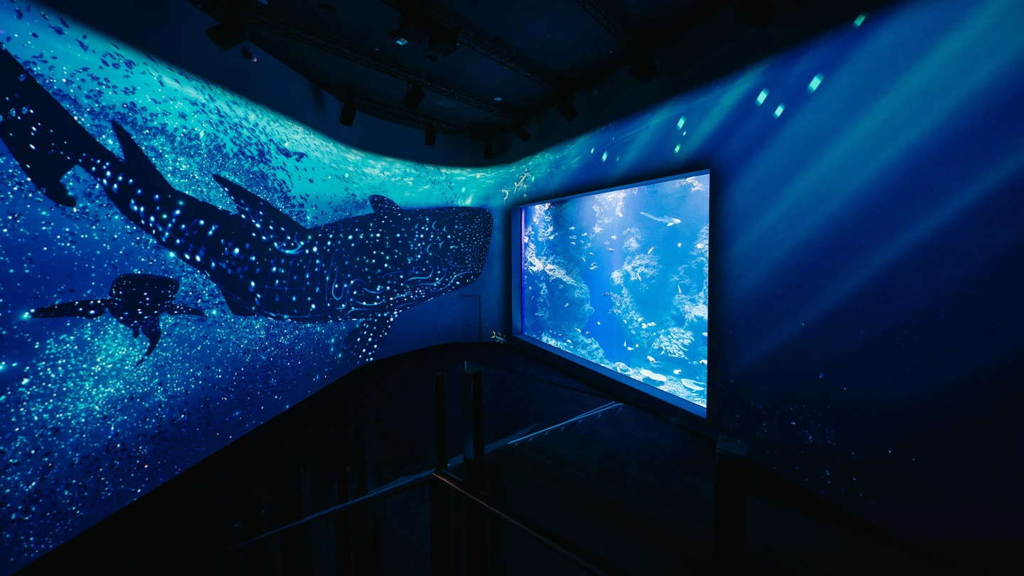 響應世界海洋日！台中海洋館設置「海洋承諾牆」　拍照打卡還能抽獎