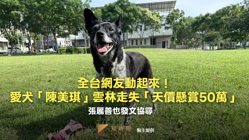 全台網友動起來！愛犬「陳美琪」雲林走失「天價懸賞50萬」　張麗善也發文協尋　