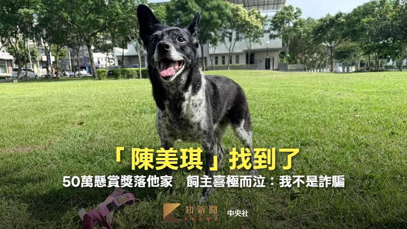 「陳美琪」找到了！50萬懸賞獎落他家　飼主喜極而泣：我不是詐騙