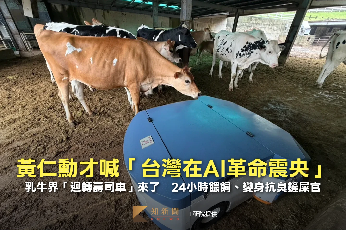 黃仁勳才喊「台灣在AI革命震央」！乳牛界「迴轉壽司車」來了　24小時餵飼、變身鏟屎官