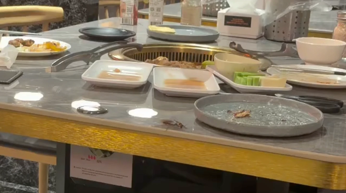 慎入片｜人氣燒肉店驚見大蟑螂爬上桌！業者道歉　衛生局稽查揪缺失