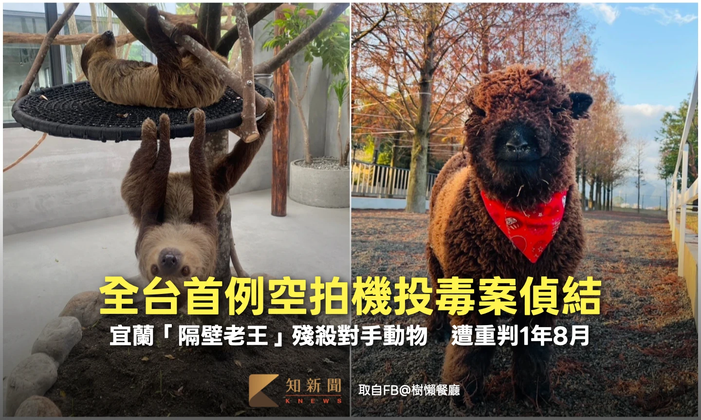 全台首例空拍機投毒案偵結！宜蘭「隔壁老王」殘殺對手動物　遭重判1年8月