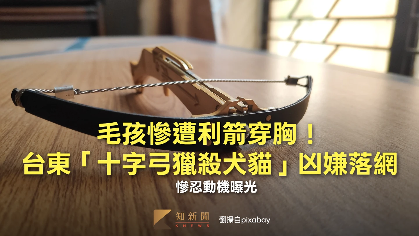 毛孩遭利箭穿胸！台東「十字弓獵殺犬貓」凶嫌落網　慘忍動機曝光
