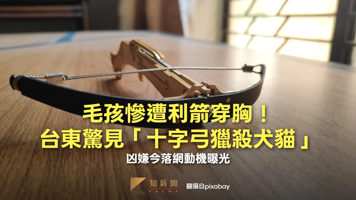 毛孩慘遭利箭穿胸！台東驚見「十字弓獵殺犬貓」　凶嫌今落網動機曝光
