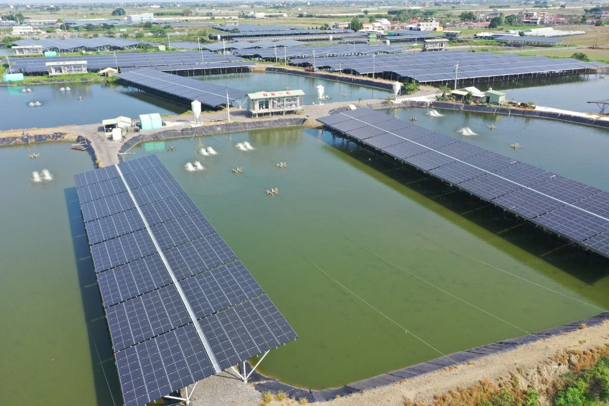 狂榨廠商5千萬！台泥綠能爆漁電共生弊案　總經理特助3高層收押禁見