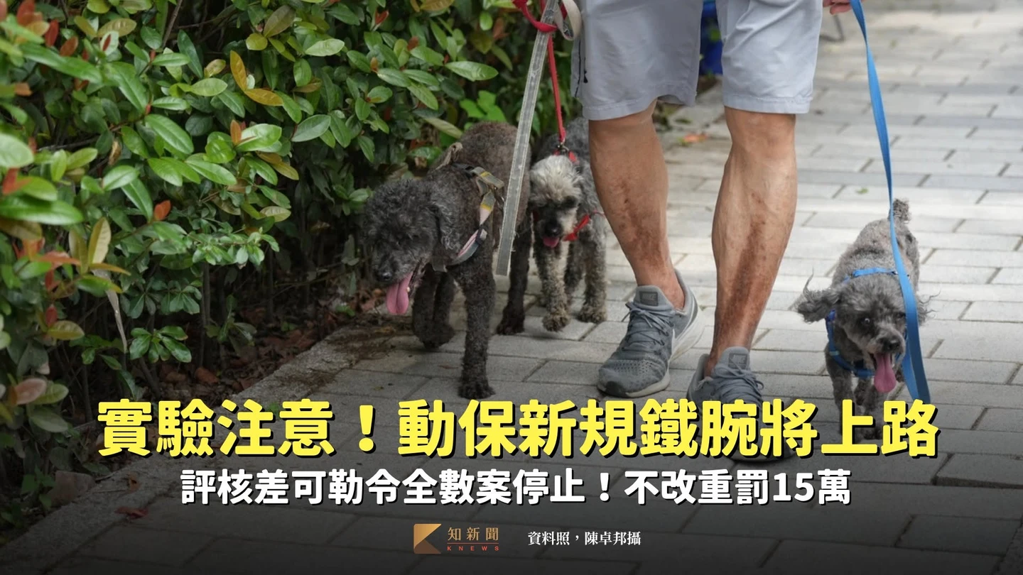 實驗注意！動保新規鐵腕將上路　評核差可勒令全數案停止、不改重罰15萬
