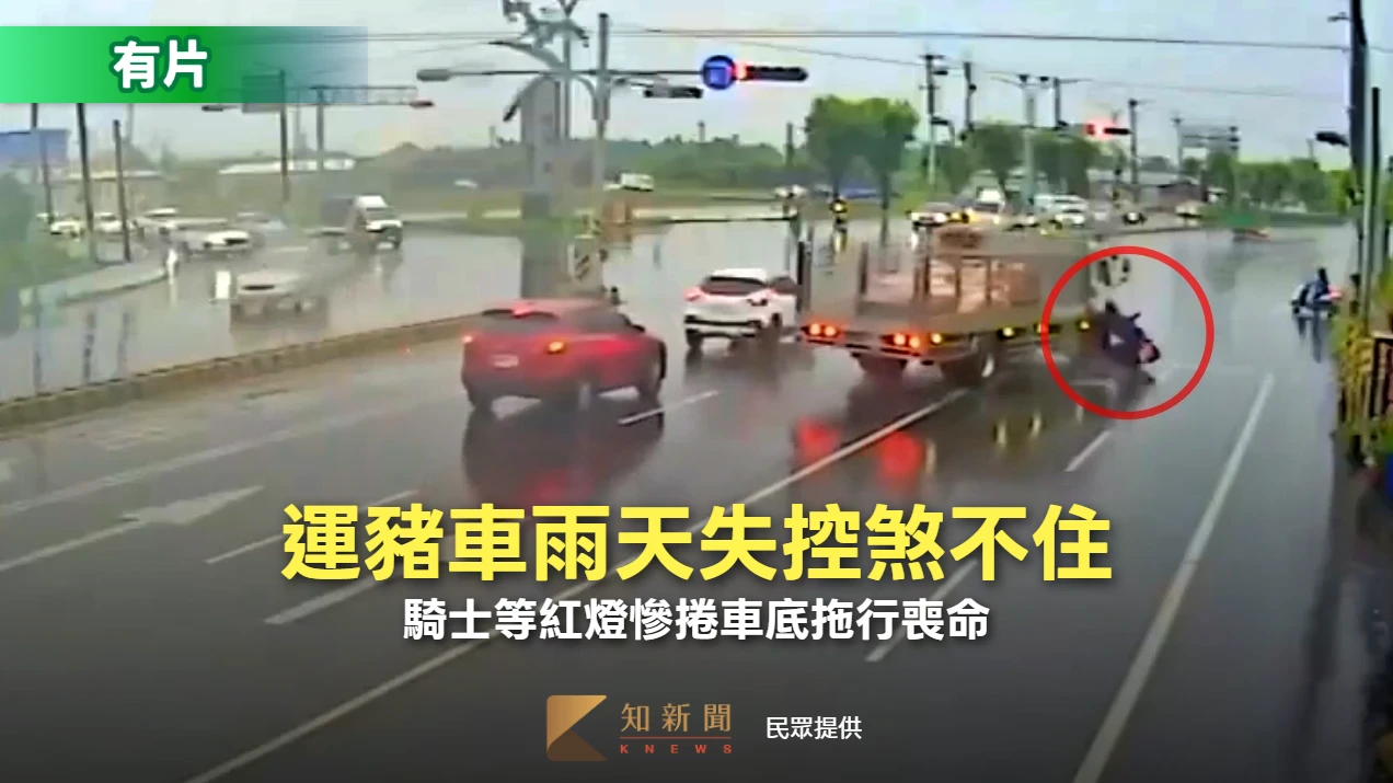 驚悚片｜運豬車雨天失控煞不住！　騎士等紅燈慘捲車底拖行喪命