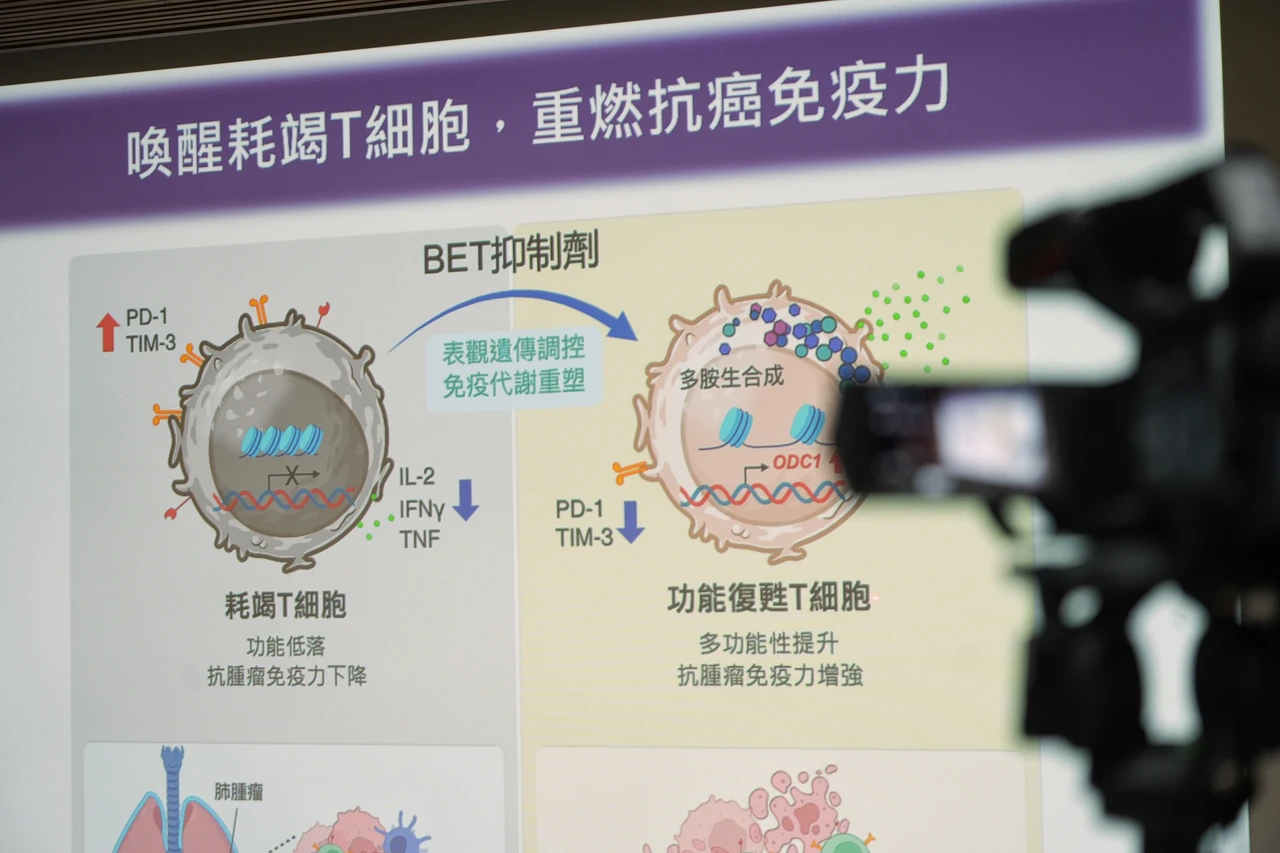 免疫治療新突破！台大醫院從肺癌患者胸水找到喚醒「耗竭T細胞」關鍵