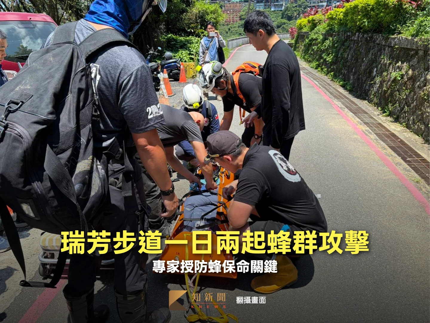 瑞芳步道驚傳蜂螫！一日兩起蜂群攻擊　專家授防蜂保命關鍵