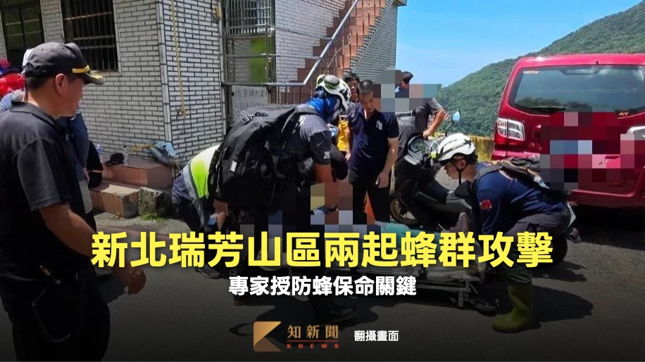 瑞芳步道驚傳蜂螫！逾24HR兩起蜂群攻擊　專家授防蜂保命關鍵