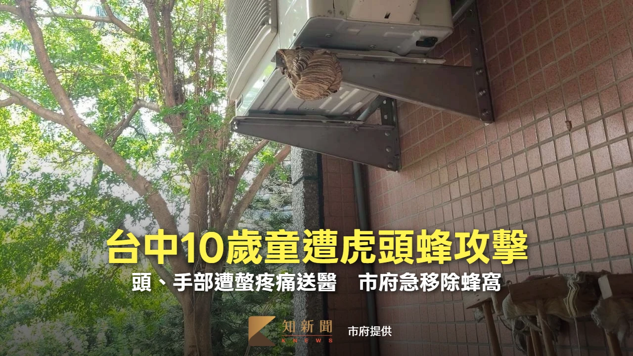 台中10歲童遭虎頭蜂攻擊！頭、手部遭螫咬疼痛送醫　市府急移除蜂窩