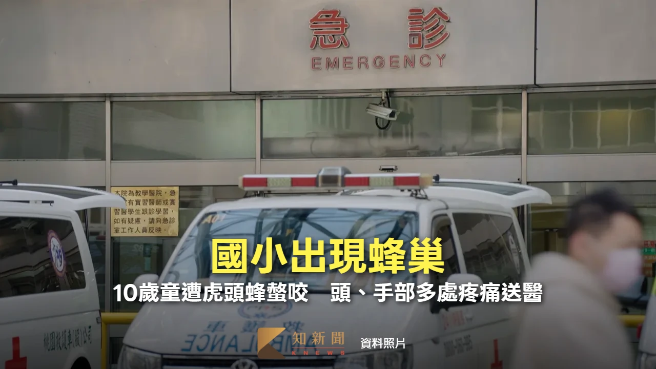 國小出現蜂巢！10歲童遭虎頭蜂螫咬　頭、手部多處疼痛送醫