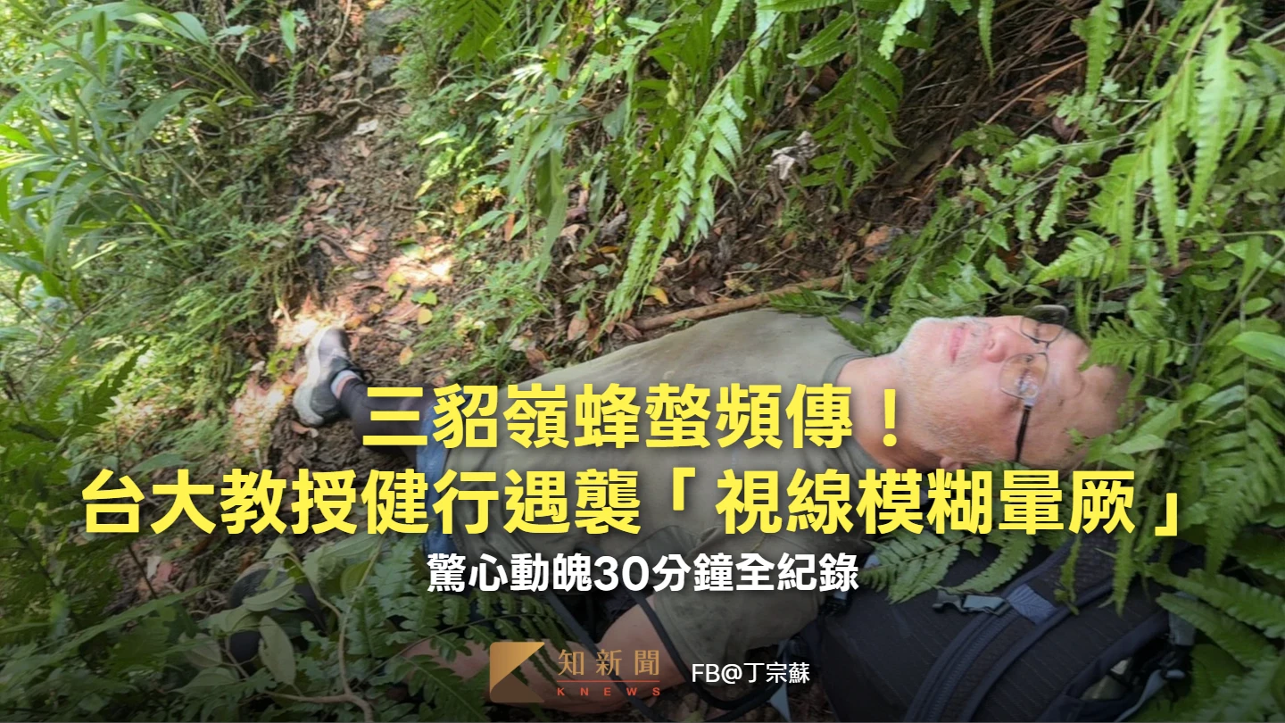 三貂嶺蜂螫頻傳！台大教授健行遇襲「視線模糊暈厥」　驚心動魄30分鐘全紀錄