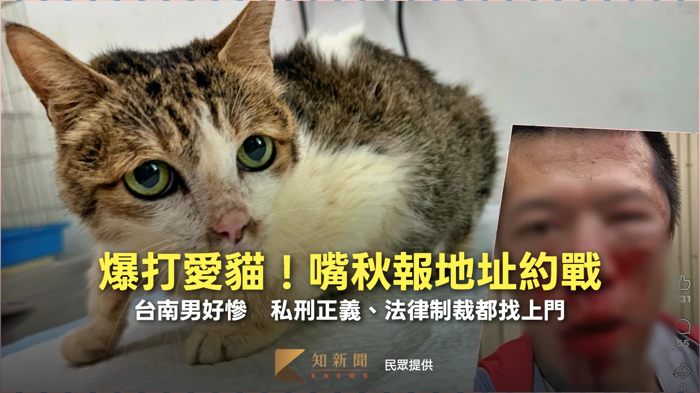 把愛貓當網友爆打！台南男嘴秋報地址約戰　私刑正義、法律制裁都找上門