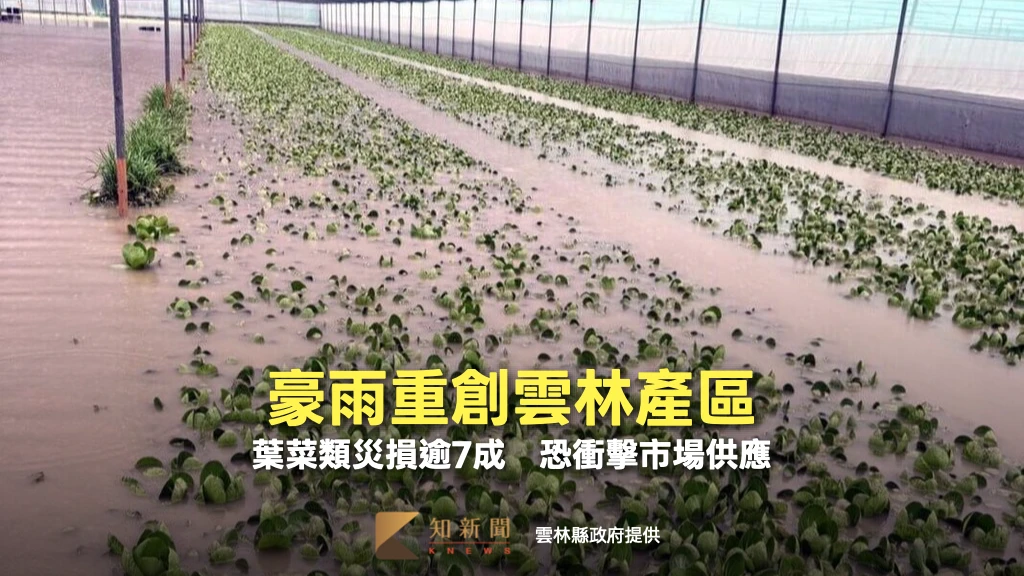 豪雨重創雲林產區！葉菜類災損逾7成　恐衝擊蔬菜市場供應