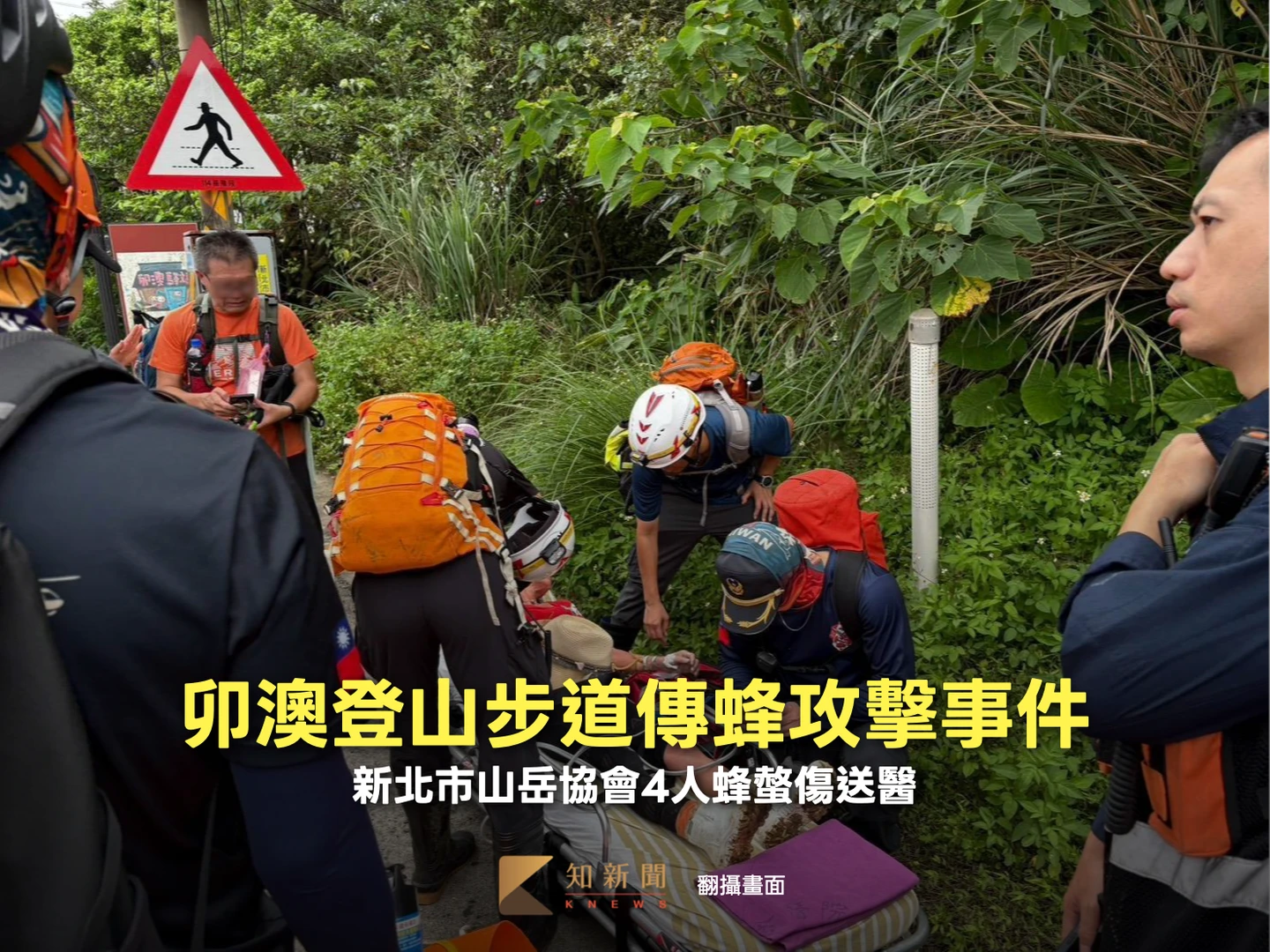 有片｜卯澳登山步道傳蜂螫！新北市山岳協會30多人登山　4人蜂螫傷送醫