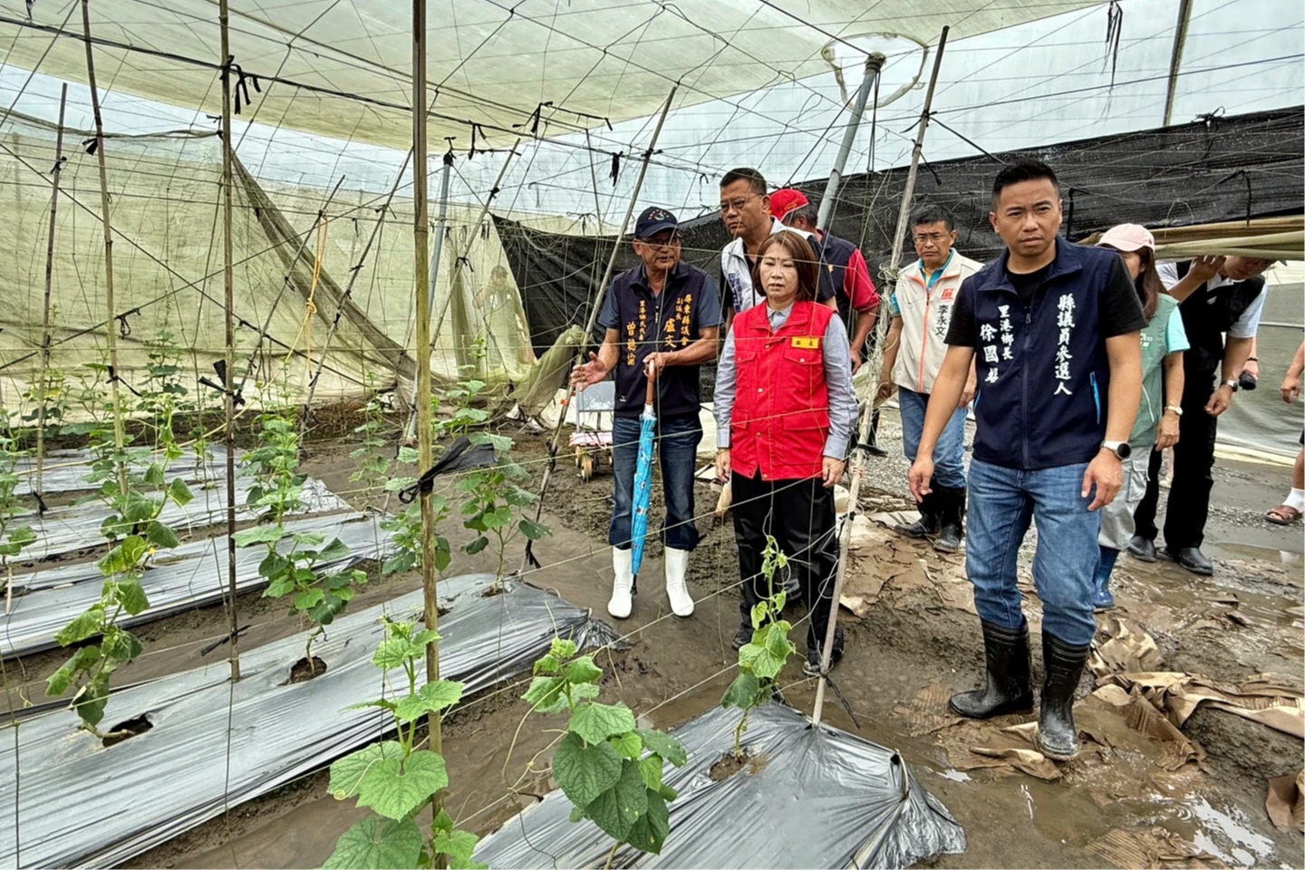 豪雨重創屏東農損破1.3億！蔬果泡爛佔大宗　開放「全品項」現金救助