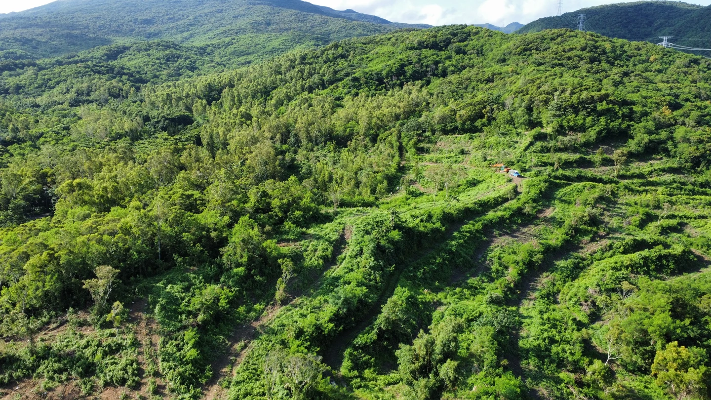 緯創攜手永在林業推動加強森林經營碳匯專案　全台首件正式經環境部審議通過