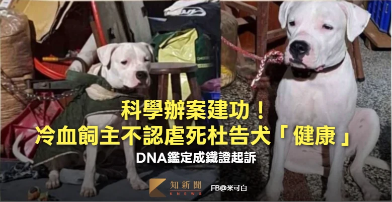 科學辦案建功！彰化冷血飼主不認虐死杜告犬「健康」　DNA鑑定成鐵證起訴