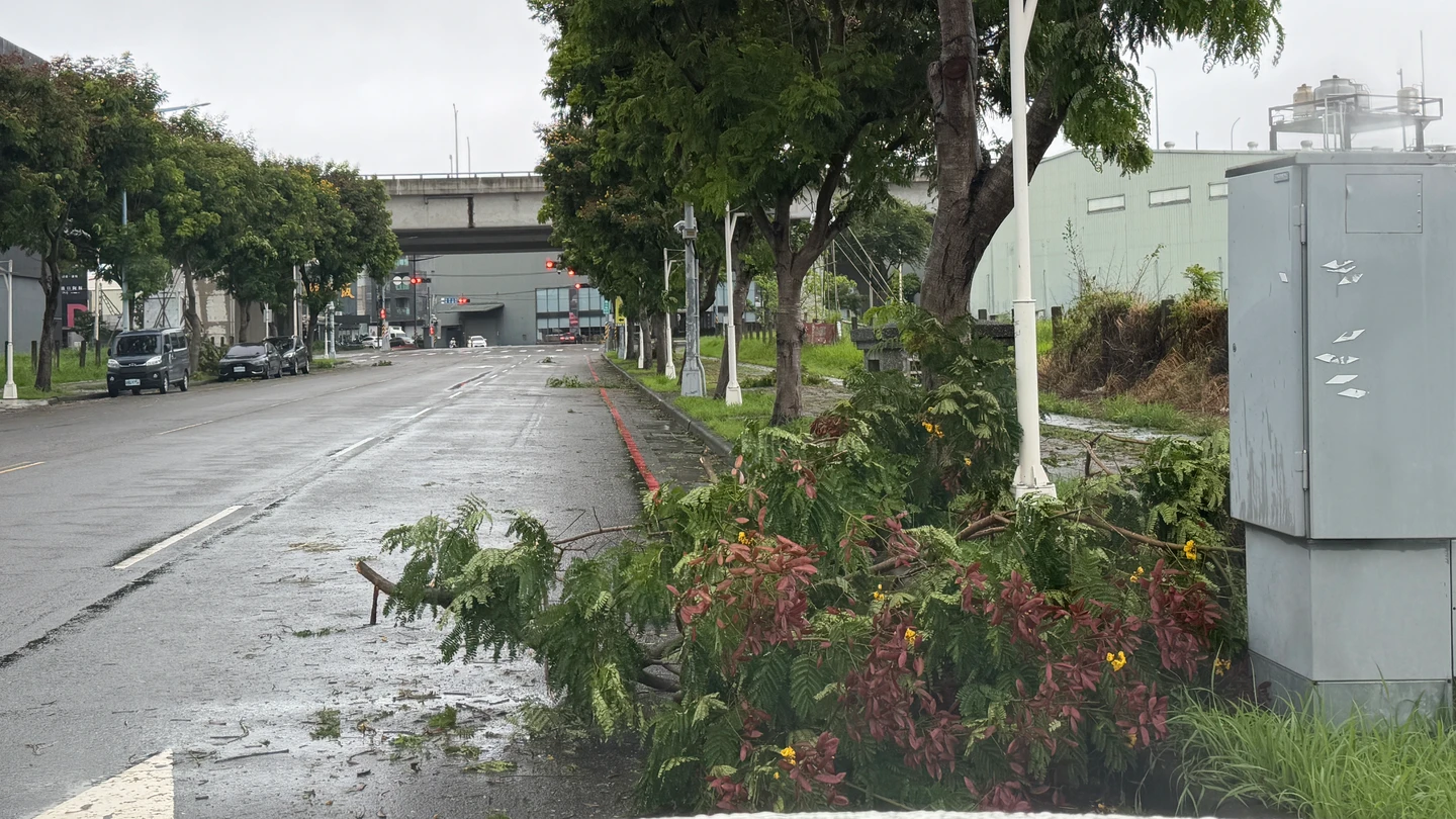 巴威狂掃台中！4人冒雨外出受傷　盧秀燕曝明天停班課關鍵因素