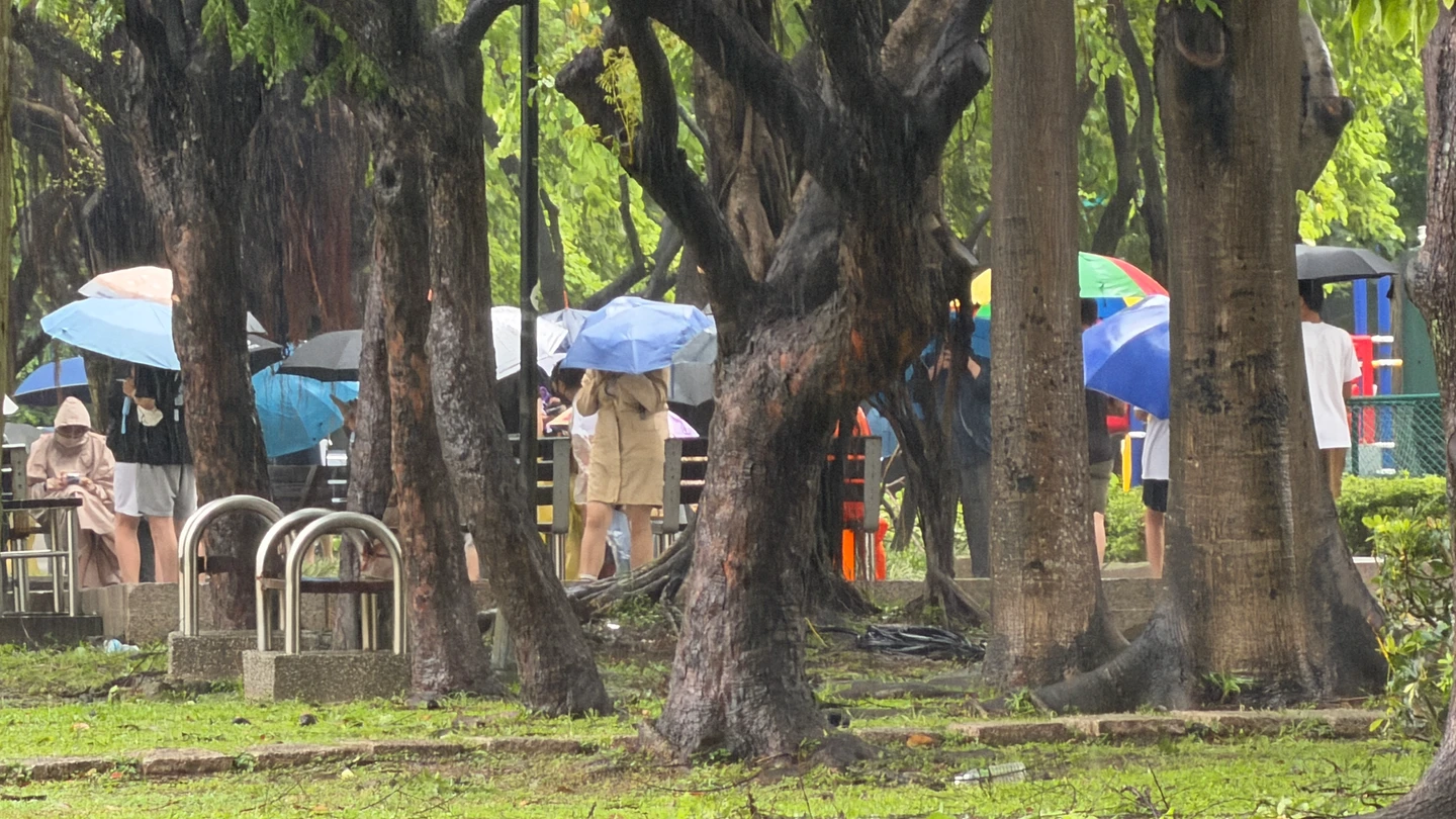 獨家｜巴威颱風來襲！台中823公園湧數百人撐傘淋雨苦守　離譜真相曝光