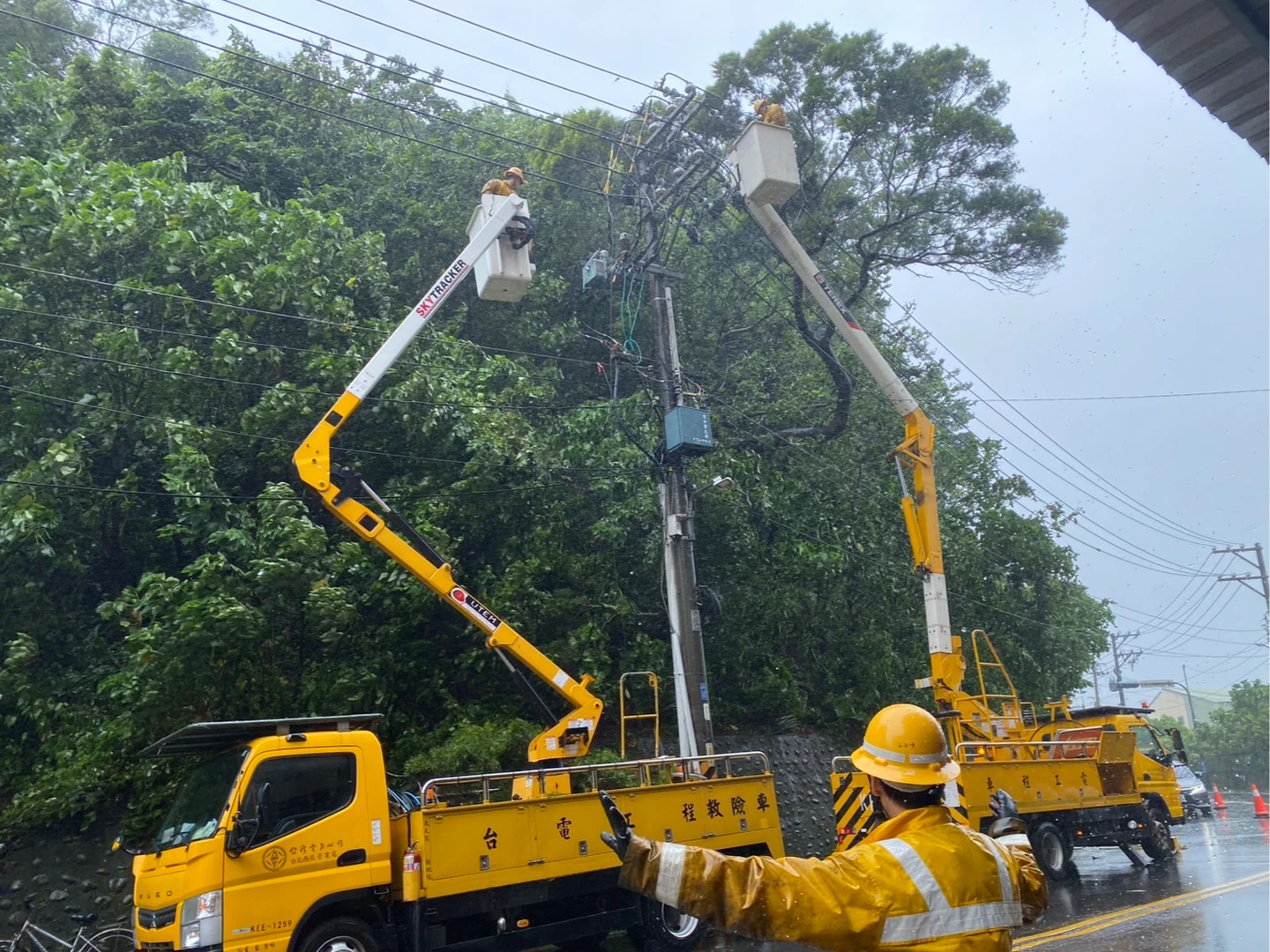 巴威狂襲新北！8千戶停電徹夜搶修　復電進度曝光