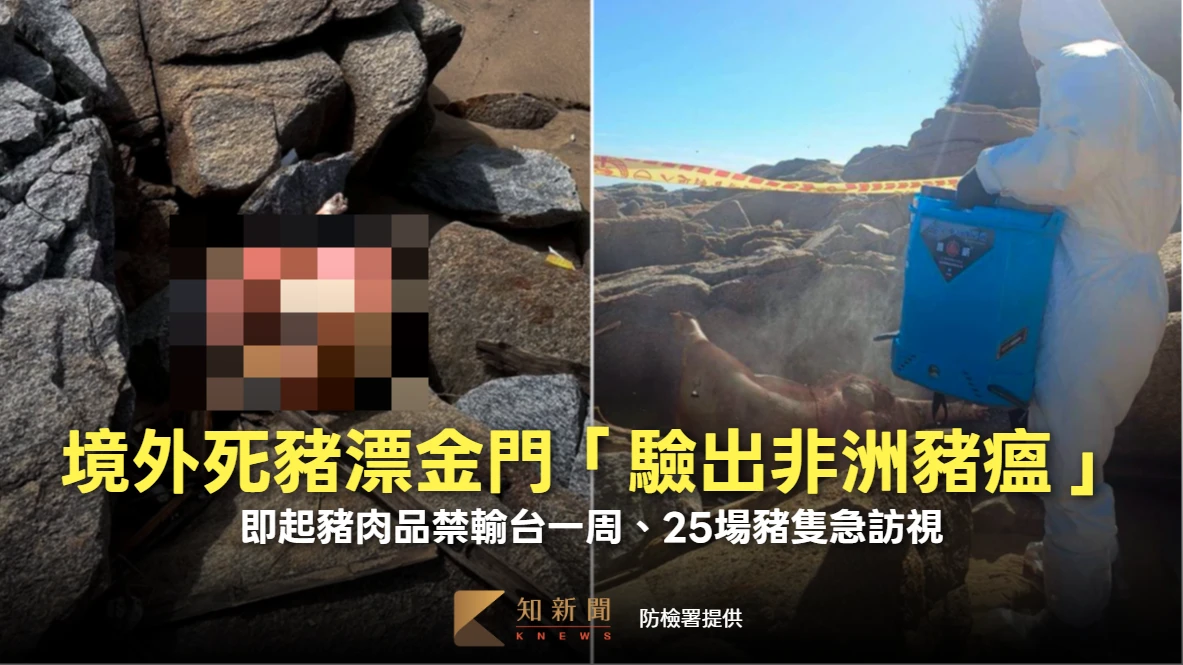境外死豬漂金門「驗出非洲豬瘟」！即起豬肉品禁輸台一周、25場豬隻急訪視