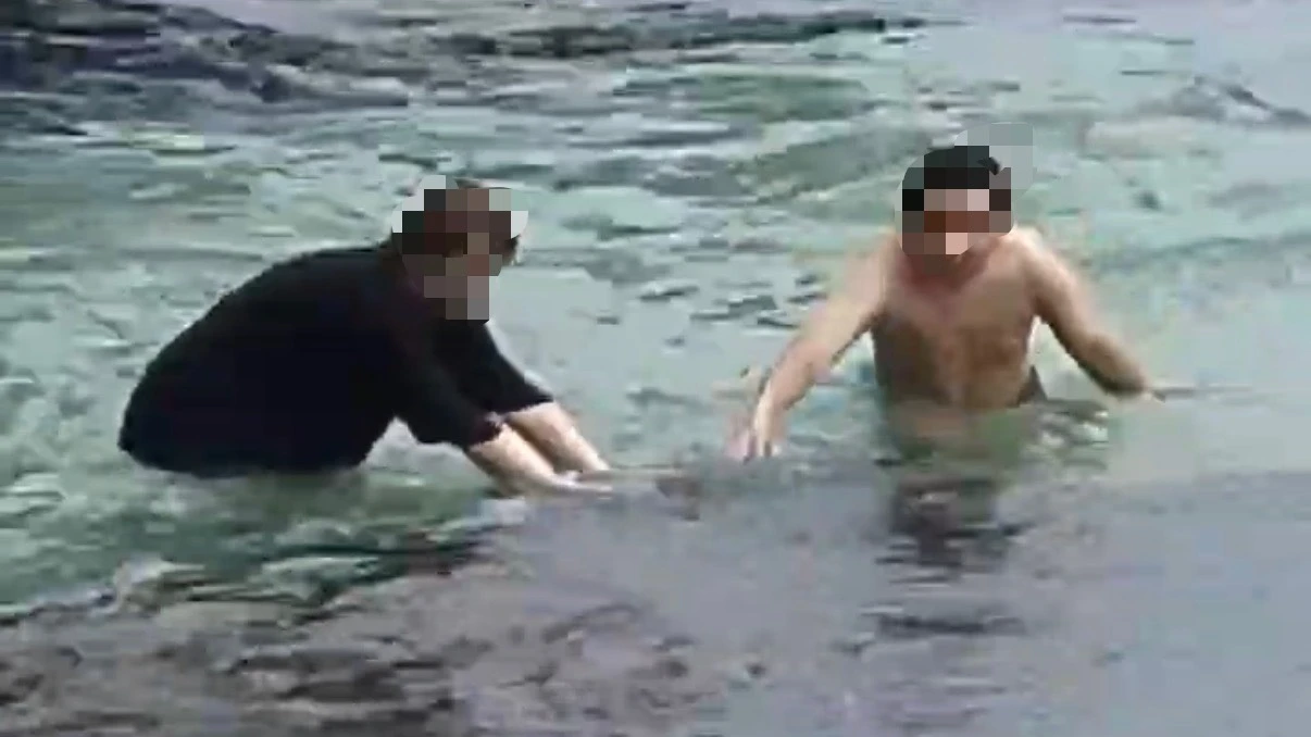 小琉球遊客摸海龜！下場慘了　2男遭海巡逮捕送辦「最重判1年」