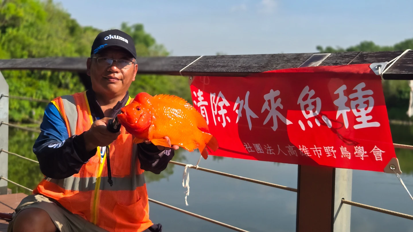 這群人濕地竟可垂釣！他們越釣越小隻卻超開心　原因曝光