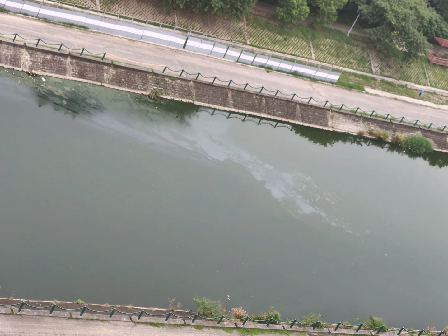 獨家｜才清完5公噸魚屍！後勁溪又見死魚、油污漂浮　民眾怒問「到底怎麼了」
