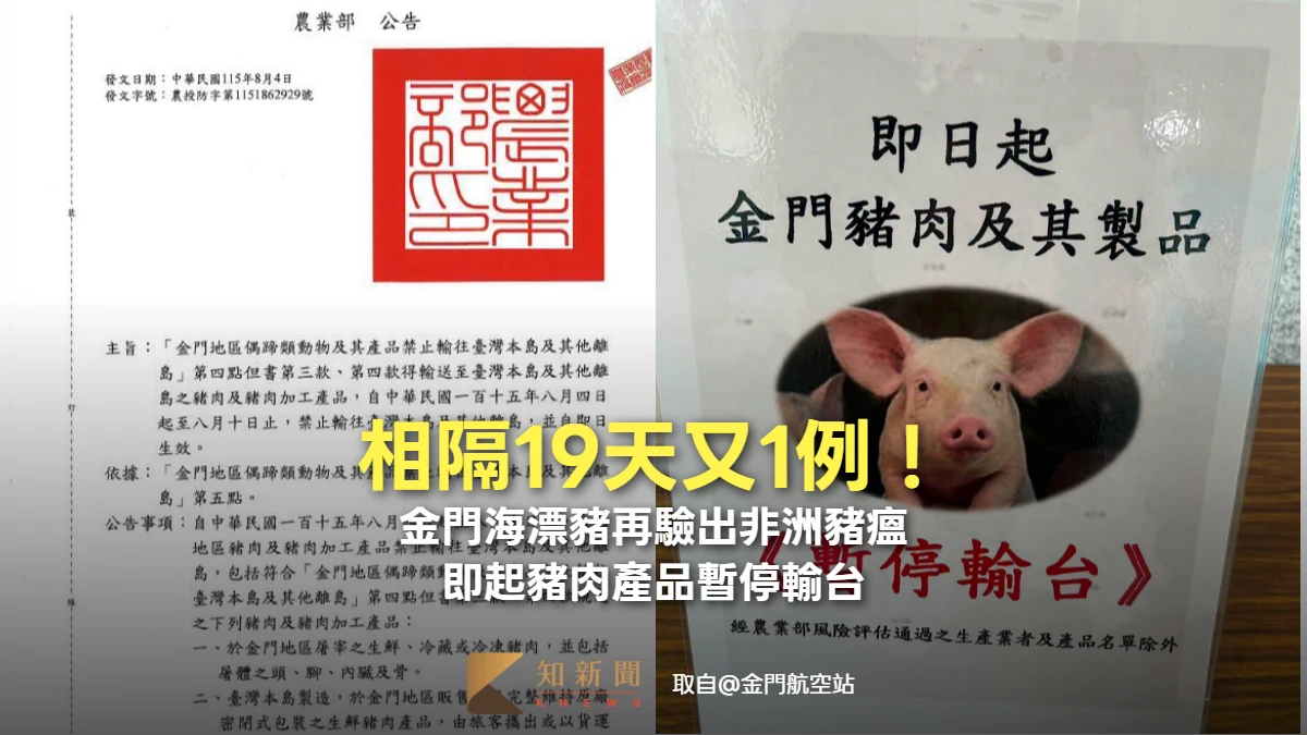 相隔19天又1例！金門海漂豬再驗出非洲豬瘟　即起豬肉產品暫停輸台