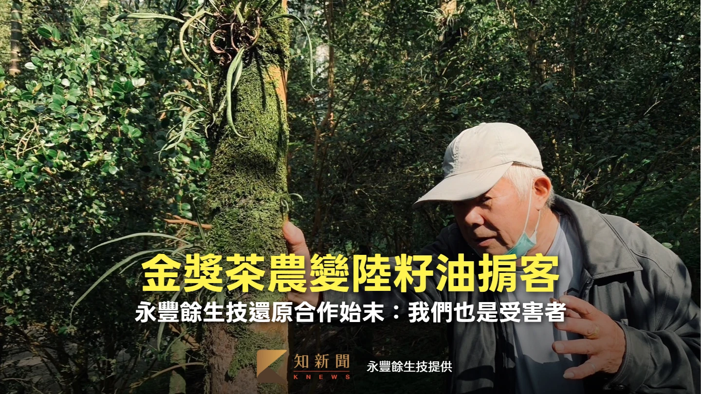 金獎茶農變陸籽油掮客！　永豐餘生技痛心還原合作始末：我們也是受害者