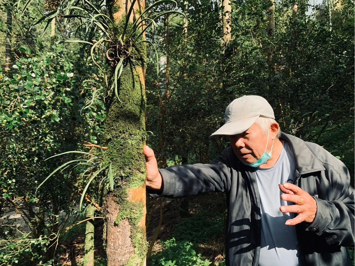 誤信金獎茶農捲苦茶油混陸籽風波　永豐餘生技喊冤商譽受損研議求償