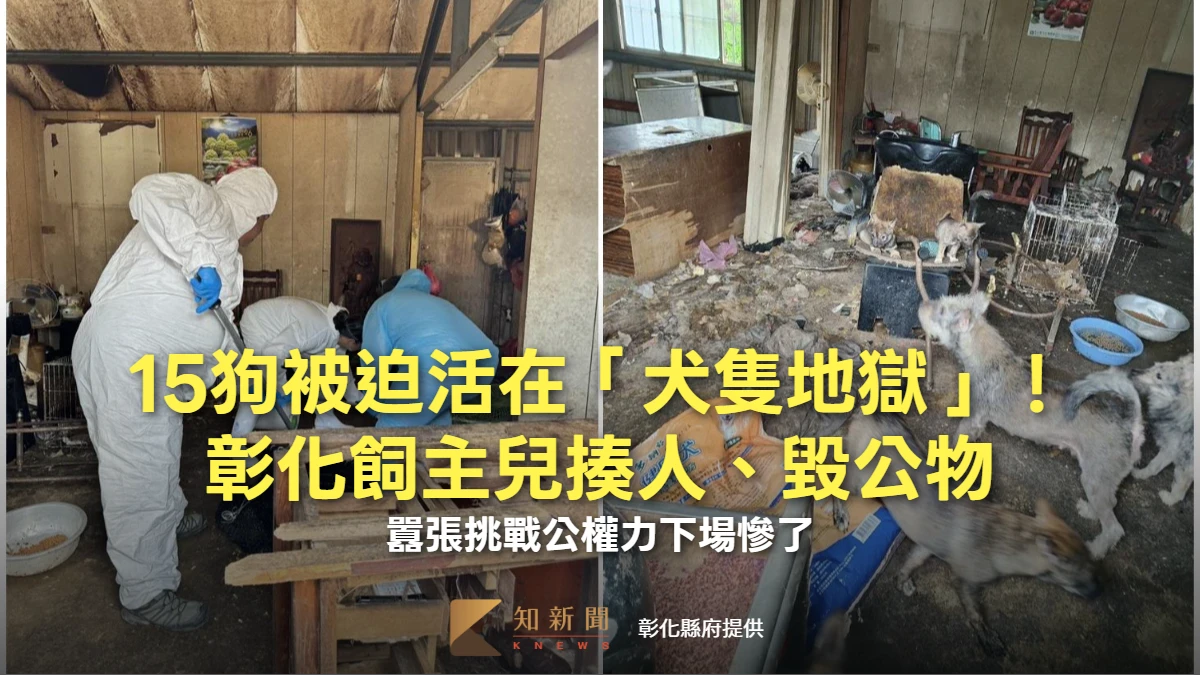 15狗被迫活在「犬隻地獄」！飼主兒揍人、毀公物　囂張挑戰公權力下場慘了