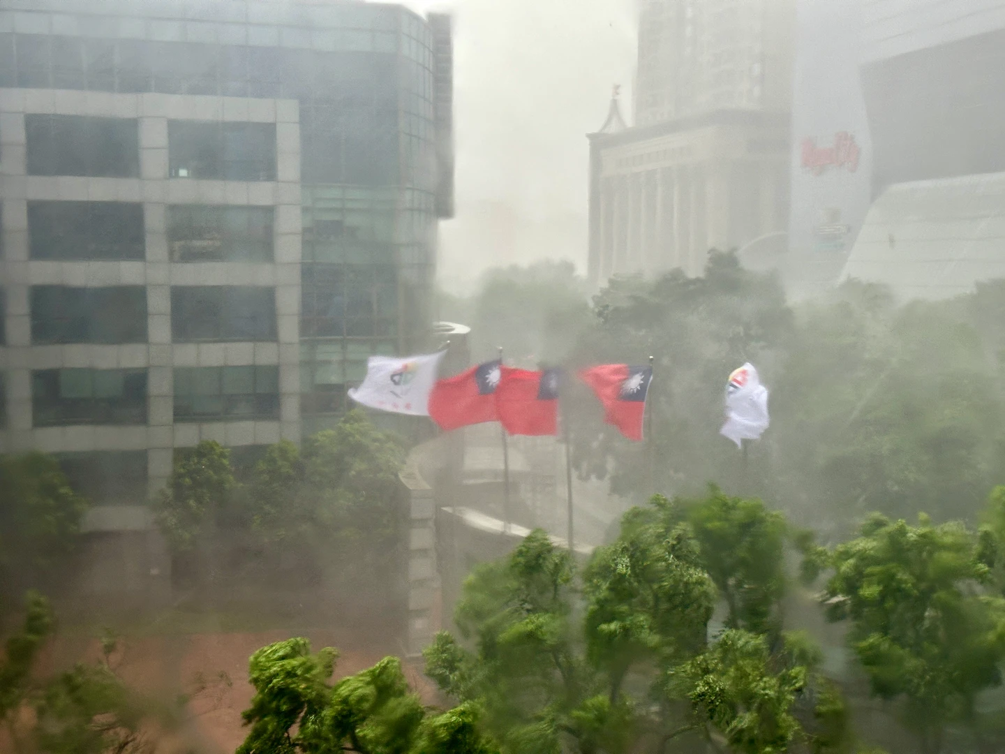 中颱白海豚風雨來了！中部以北防豪雨　今晚、明天影響最劇烈