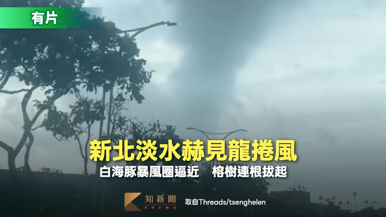 有片｜白海豚暴風圈逼近！新北淡水赫見龍捲風　榕樹連根拔起