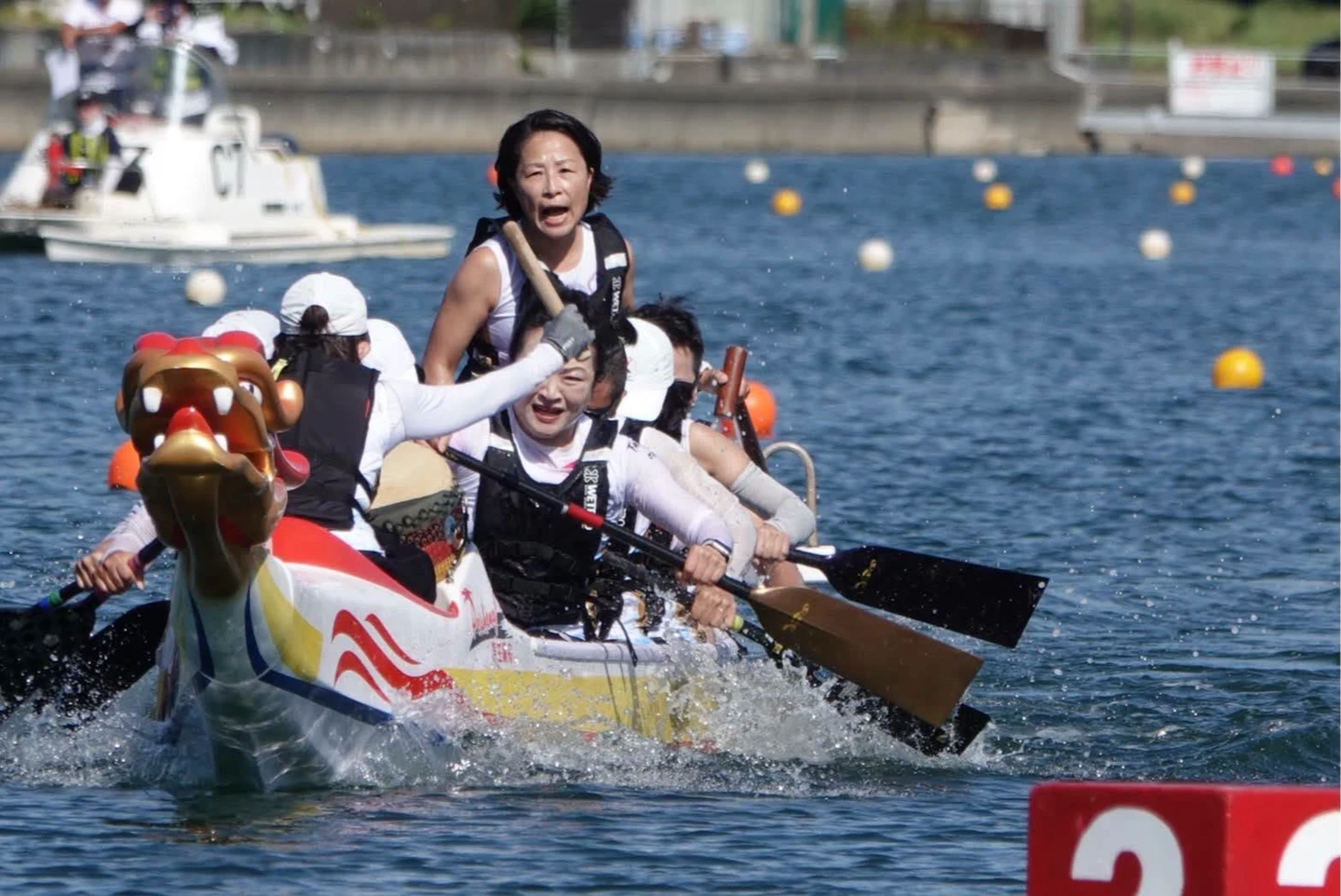龍舟｜50+女子組奪金後收李洋賀電又被收回　運動部回應了