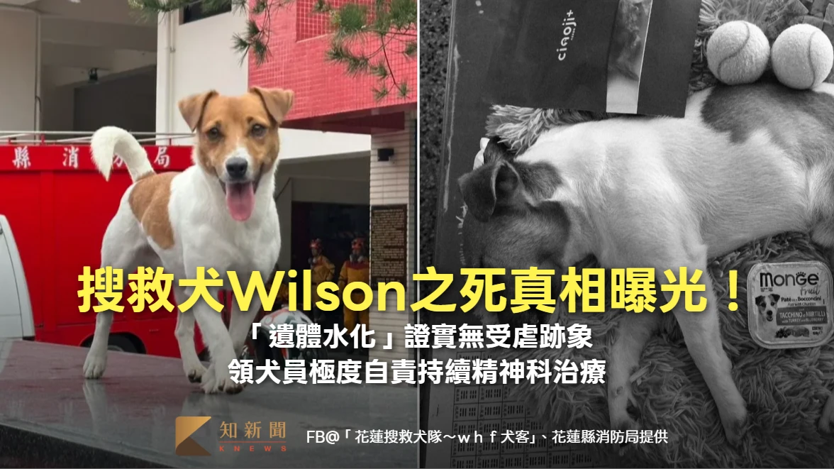 搜救犬Wilson之死真相曝光！「遺體水化」證實無受虐跡象　領犬員極度自責持續精神科治療