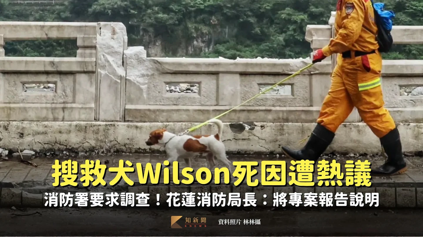 搜救犬Wilson之死｜事隔一年死因遭熱議　消防署要求調查！花蓮消防局長：將專案報告說明
